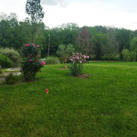 Dommartin  Chambre Avec Entree Independante Dans Un Ecrin De Verdure מראה חיצוני תמונה